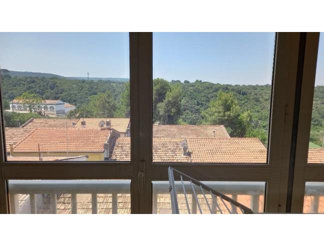 Anteprima foto 2 - Casa indipendente in Vendita a San Nicandro Garganico (Foggia)