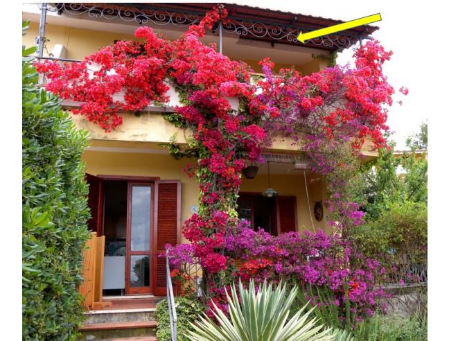 Anteprima foto 4 - Casa indipendente in Vendita a San Nicola Arcella (Cosenza)