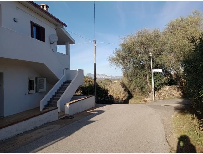 Anteprima foto 1 - Casa indipendente in Vendita a San Teodoro - Straula