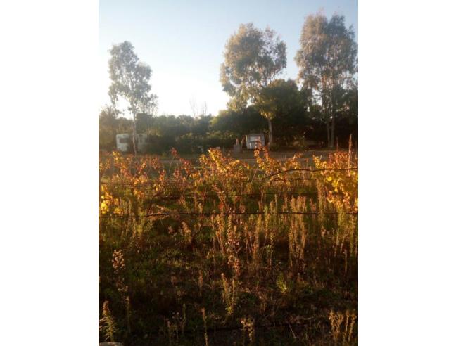Anteprima foto 8 - Casa indipendente in Vendita a San Vero Milis - Putzu Idu