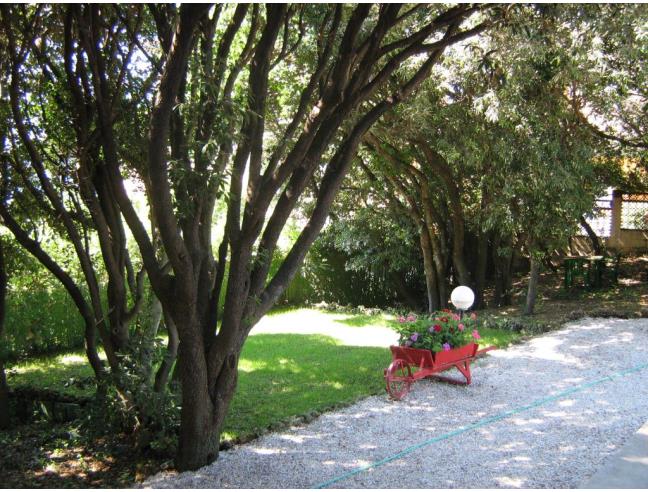 Anteprima foto 2 - Casa indipendente in Vendita a San Vincenzo (Livorno)