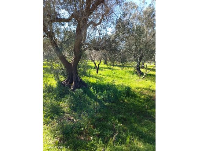 Anteprima foto 4 - Casa indipendente in Vendita a San Vito dei Normanni (Brindisi)