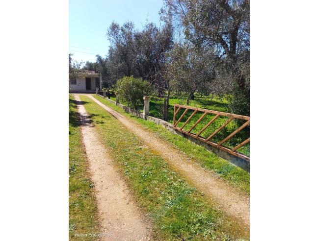 Anteprima foto 5 - Casa indipendente in Vendita a San Vito dei Normanni (Brindisi)