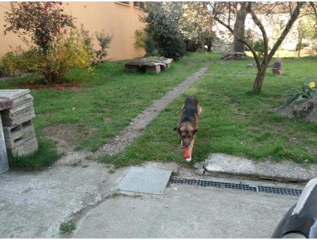 Anteprima foto 3 - Casa indipendente in Vendita a Sangiano (Varese)