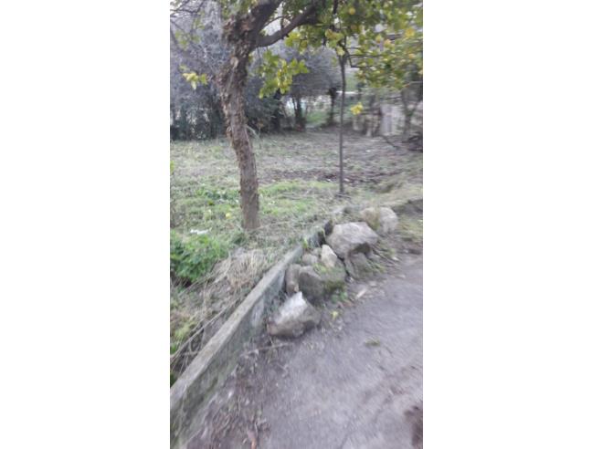 Anteprima foto 6 - Casa indipendente in Vendita a Sanremo - San Romolo