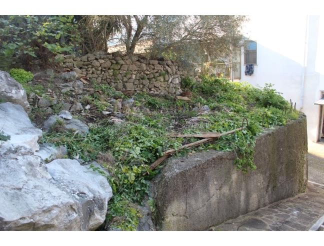 Anteprima foto 3 - Casa indipendente in Vendita a Sant'Andrea del Garigliano (Frosinone)