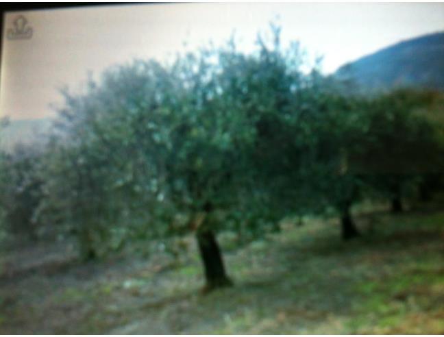 Anteprima foto 5 - Casa indipendente in Vendita a Sant'Angelo a Fasanella (Salerno)