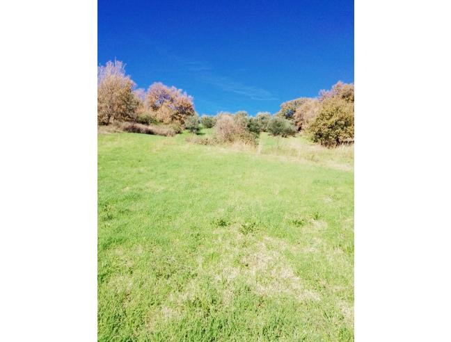 Anteprima foto 5 - Casa indipendente in Vendita a Santa Caterina Albanese (Cosenza)
