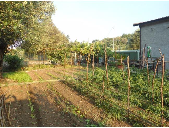 Anteprima foto 3 - Casa indipendente in Vendita a Sapri (Salerno)