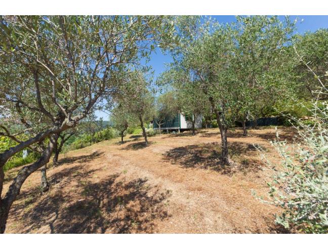 Anteprima foto 5 - Casa indipendente in Vendita a Sarzana - Falcinello