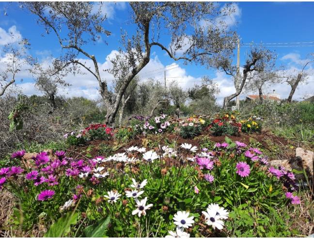 Anteprima foto 7 - Casa indipendente in Vendita a Sassari - La Landrigga