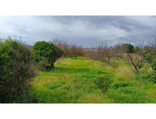 Anteprima foto 6 - Casa indipendente in Vendita a Sassari (Sassari)