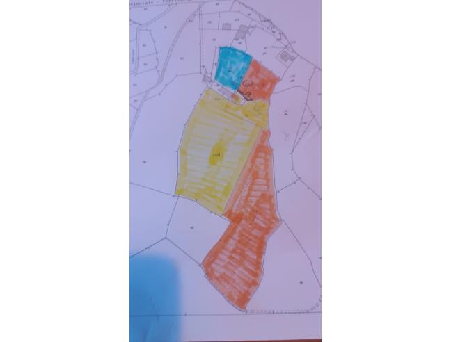 Anteprima foto 8 - Casa indipendente in Vendita a Scagnello (Cuneo)