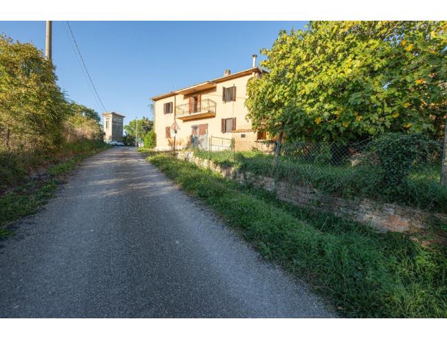 Anteprima foto 2 - Casa indipendente in Vendita a Scansano - Poggioferro