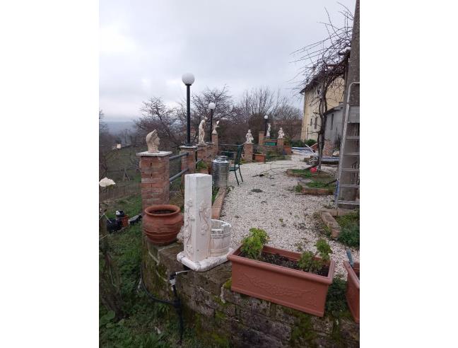 Anteprima foto 6 - Casa indipendente in Vendita a Scansano - Poggioferro