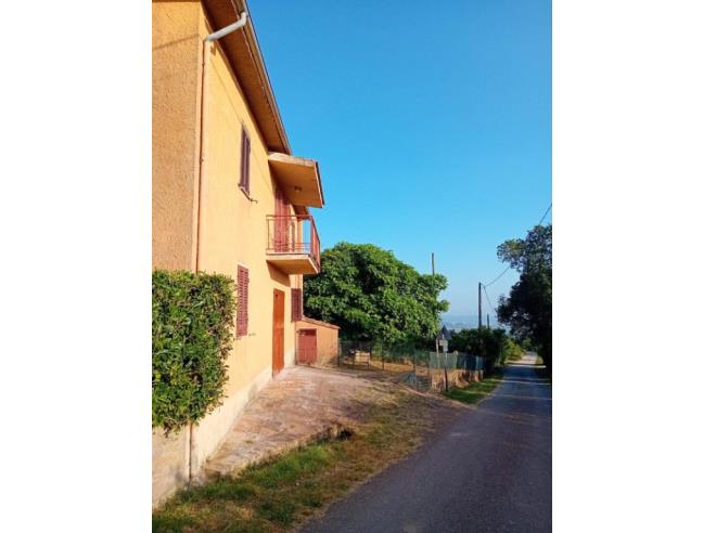 Anteprima foto 8 - Casa indipendente in Vendita a Scansano - Poggioferro