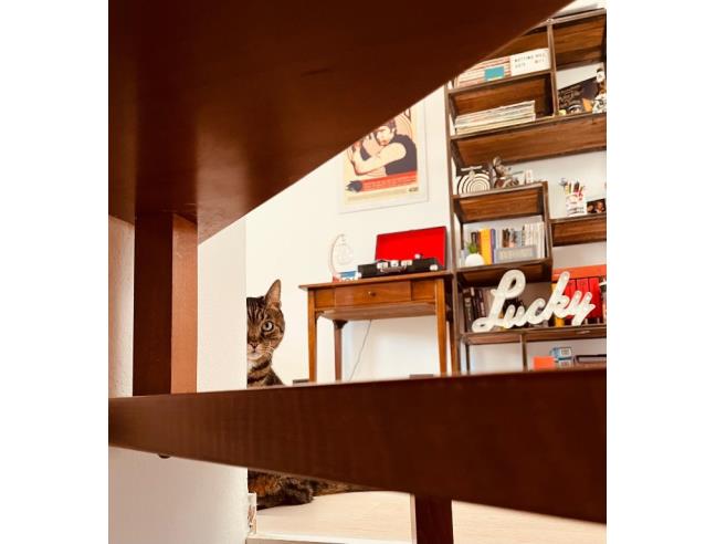 Anteprima foto 8 - Casa indipendente in Vendita a Scarlino - Portiglioni