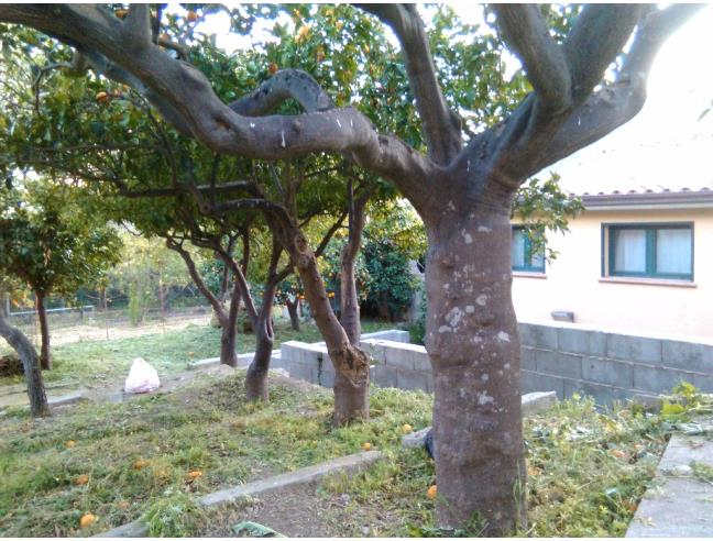 Anteprima foto 8 - Casa indipendente in Vendita a Scillato (Palermo)