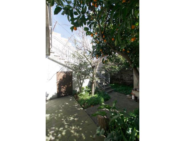 Anteprima foto 6 - Casa indipendente in Vendita a Sedilo (Oristano)