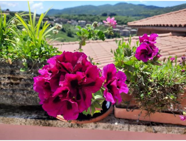 Anteprima foto 7 - Casa indipendente in Vendita a Segni (Roma)