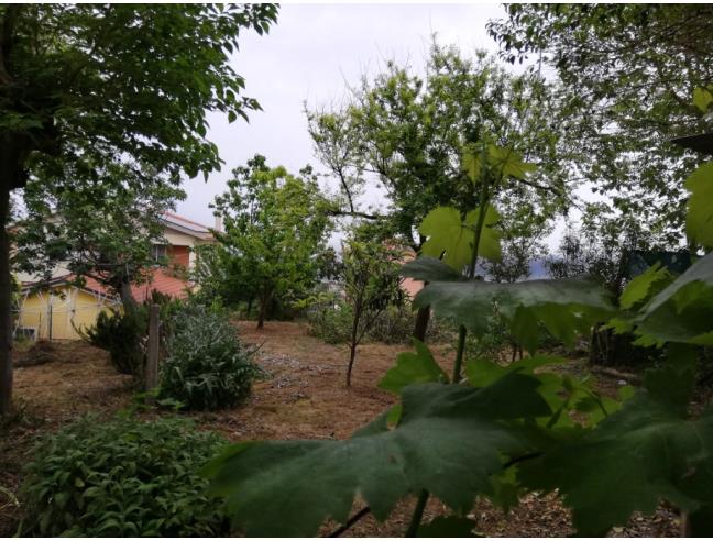 Anteprima foto 3 - Casa indipendente in Vendita a Senigallia - Montignano