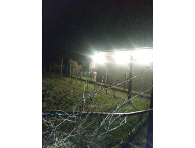 Anteprima foto 2 - Casa indipendente in Vendita a Sermide e Felonica (Mantova)