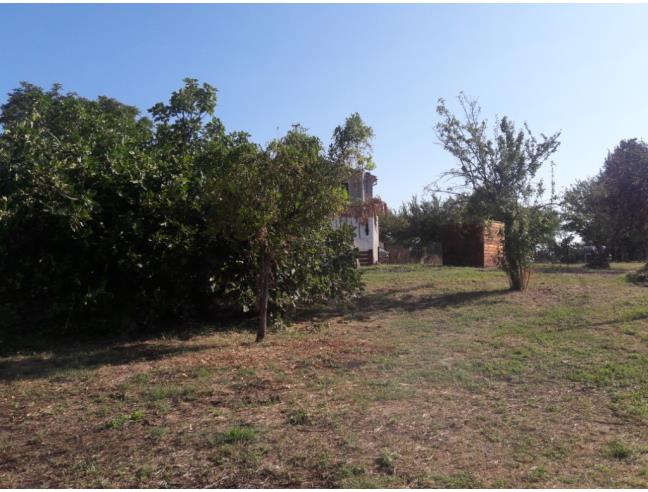 Anteprima foto 3 - Casa indipendente in Vendita a Serra de' Conti (Ancona)