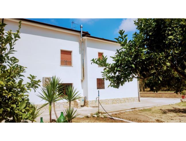 Anteprima foto 6 - Casa indipendente in Vendita a Sessa Aurunca - Piedimonte