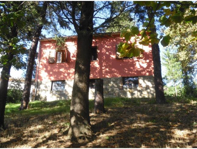 Anteprima foto 1 - Casa indipendente in Vendita a Sestino (Arezzo)