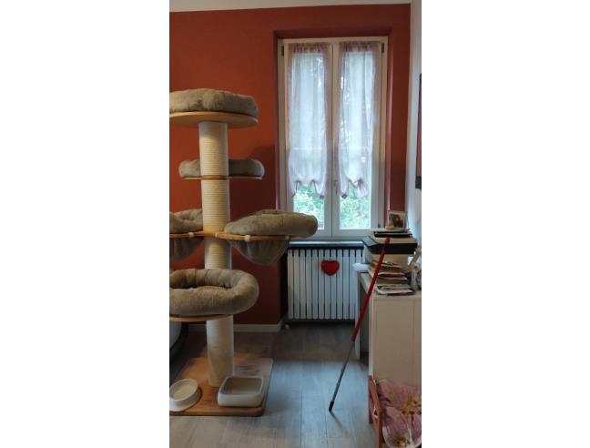 Anteprima foto 4 - Casa indipendente in Vendita a Sesto Calende - San Giorgio