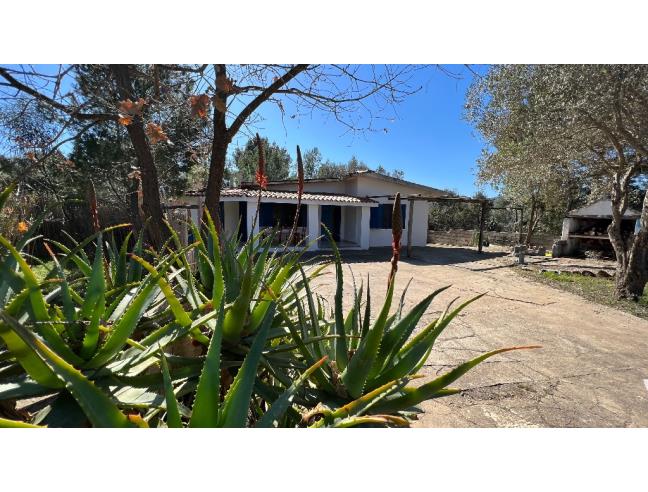 Anteprima foto 4 - Casa indipendente in Vendita a Siniscola - Capo Camino