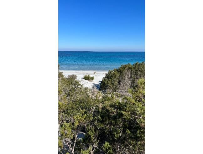 Anteprima foto 7 - Casa indipendente in Vendita a Siniscola - Capo Camino