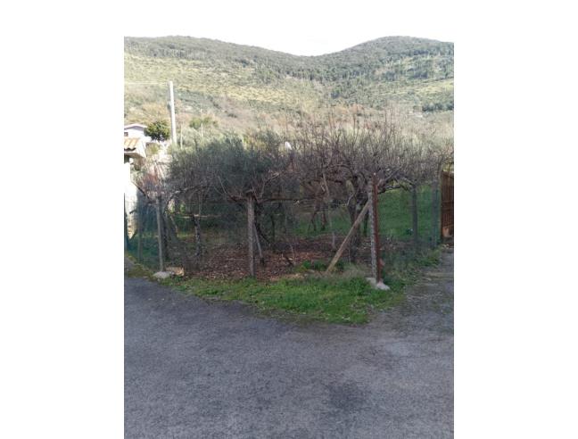 Anteprima foto 2 - Casa indipendente in Vendita a Sonnino - Cerreto