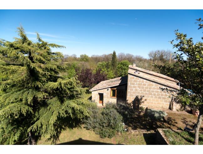 Anteprima foto 8 - Casa indipendente in Vendita a Sorano - Montesorano