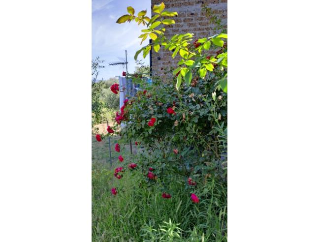 Anteprima foto 3 - Casa indipendente in Vendita a Soriano nel Cimino - Chia