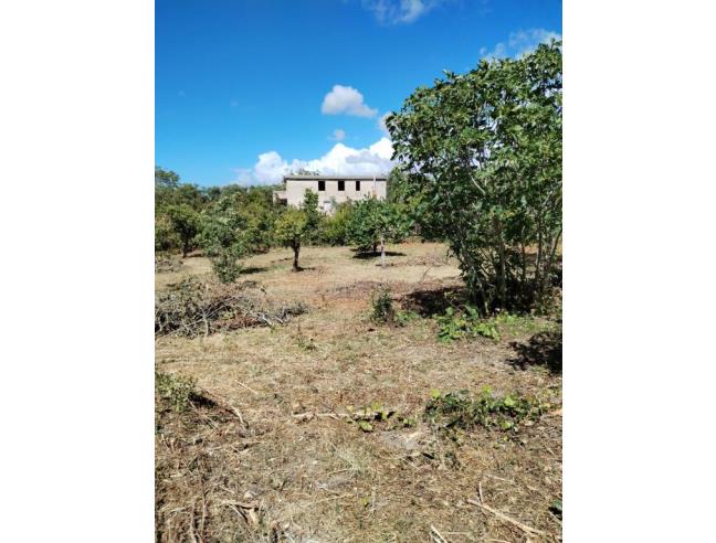Anteprima foto 2 - Casa indipendente in Vendita a Sorso (Sassari)