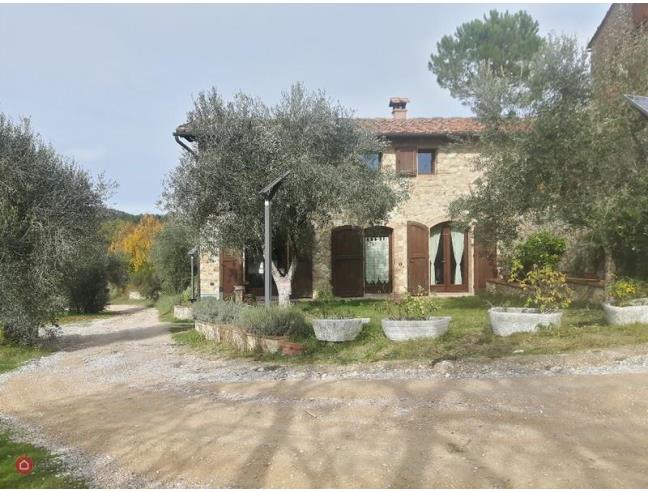 Anteprima foto 3 - Casa indipendente in Vendita a Sovicille - Stigliano