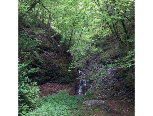 Anteprima foto 8 - Casa indipendente in Vendita a Sovramonte - Servo