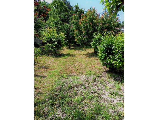 Anteprima foto 3 - Casa indipendente in Vendita a Spoleto (Perugia)