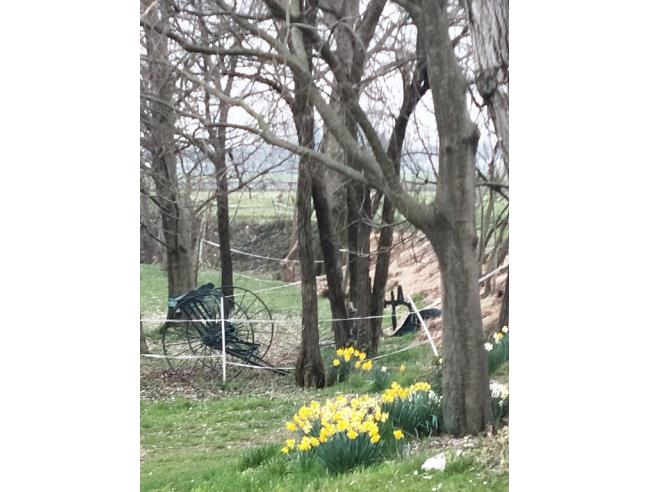 Anteprima foto 3 - Casa indipendente in Vendita a Spresiano (Treviso)