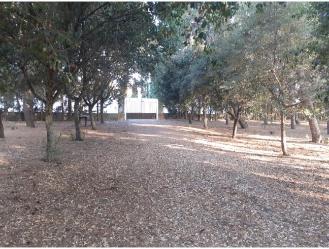 Anteprima foto 4 - Casa indipendente in Vendita a Squinzano (Lecce)