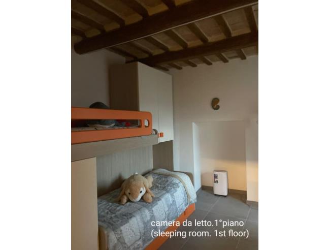 Anteprima foto 3 - Casa indipendente in Vendita a Staffolo (Ancona)