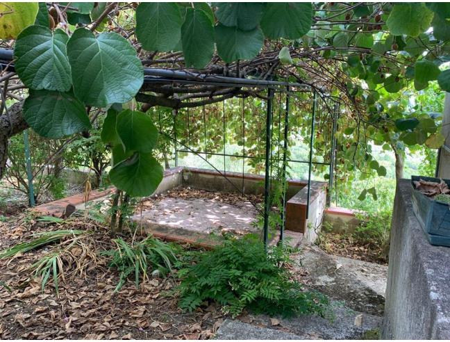 Anteprima foto 8 - Casa indipendente in Vendita a Stella Cilento - San Giovanni