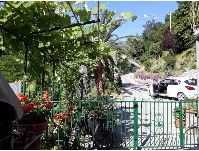 Anteprima foto 1 - Casa indipendente in Vendita a Stella (Savona)