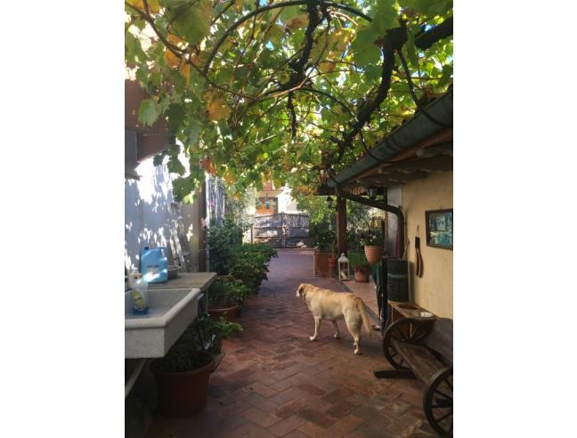 Anteprima foto 5 - Casa indipendente in Vendita a Subbiano (Arezzo)