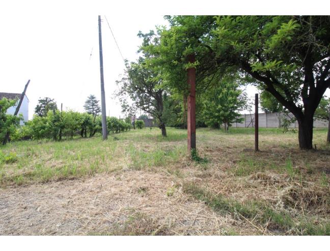 Anteprima foto 3 - Casa indipendente in Vendita a Suzzara - Brusatasso