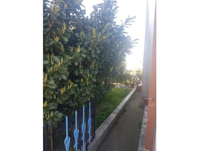 Anteprima foto 8 - Casa indipendente in Vendita a Tortoreto - Tortoreto Lido