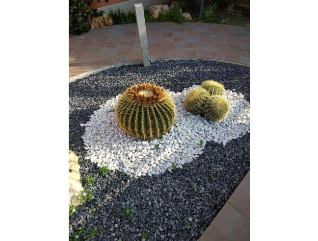 Anteprima foto 8 - Casa indipendente in Vendita a Trapani - Marausa