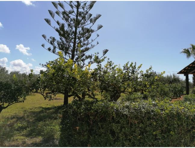 Anteprima foto 5 - Casa indipendente in Vendita a Trapani (Trapani)