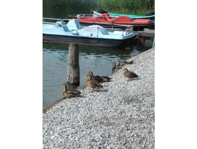 Anteprima foto 5 - Casa indipendente in Vendita a Trescore Balneario (Bergamo)